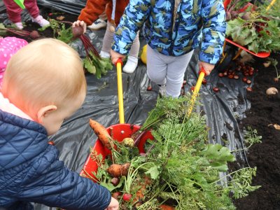 Dzień Jesieni – Jesienne Wykopki