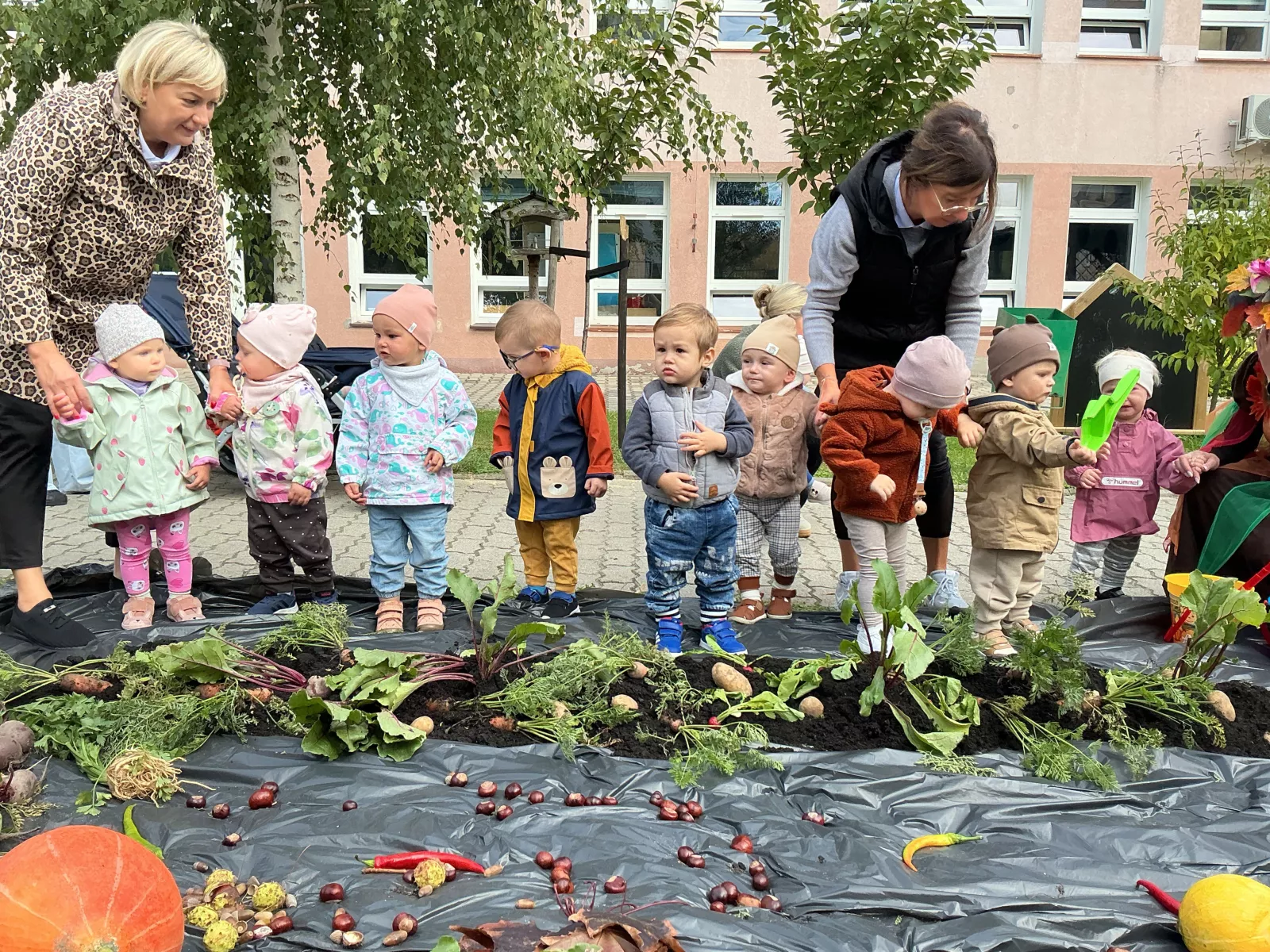 Dzieci i opiekunki oglądają warzywa rozłożone na czarnej folii.