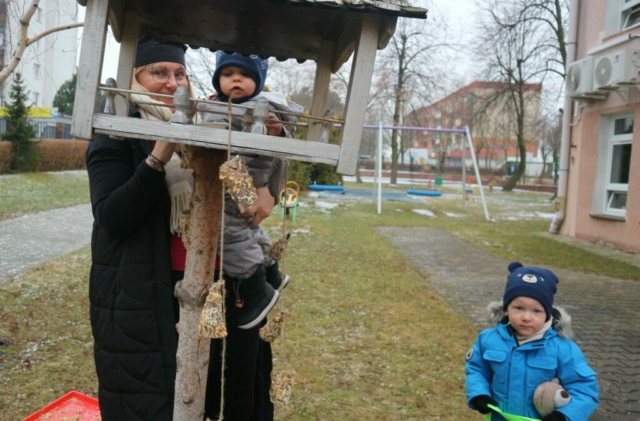 Dokarmiamy ptaszki zimą