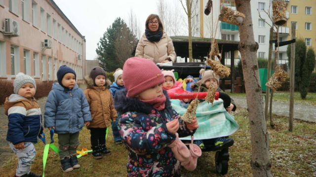 Dokarmiamy ptaszki zimą