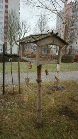 Dokarmiamy ptaszki zimą