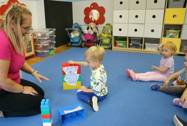 Segregacja klocków- układania zwierzątek w całość