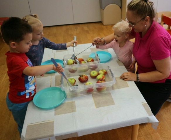 Segregacja jabłek