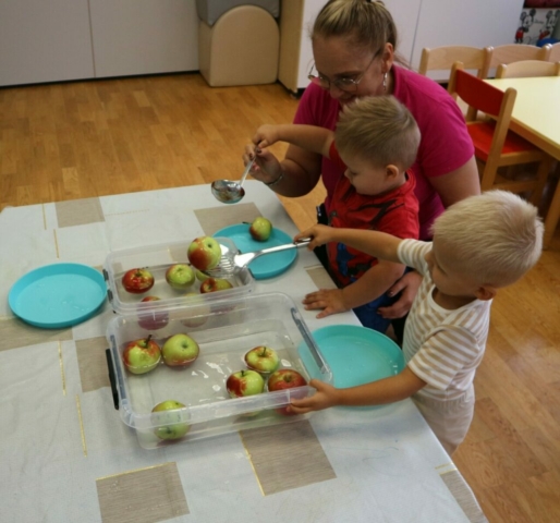 Segregacja jabłek