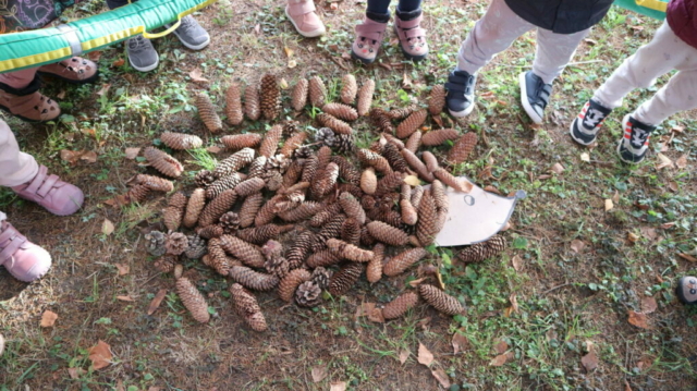 Praca plastyczna ,,Jeż"