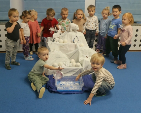 Poznajemy zwierzęta polarne oraz doświadczenie zimowa kra.