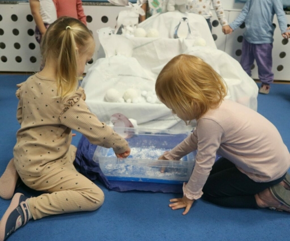 Poznajemy zwierzęta polarne oraz doświadczenie zimowa kra.