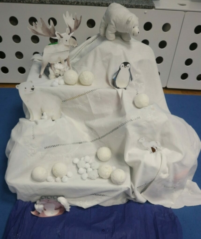 Poznajemy zwierzęta polarne oraz doświadczenie zimowa kra.