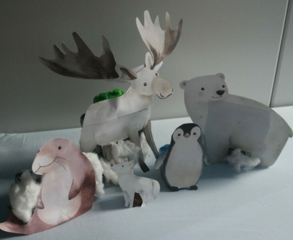 Poznajemy zwierzęta polarne oraz doświadczenie zimowa kra.