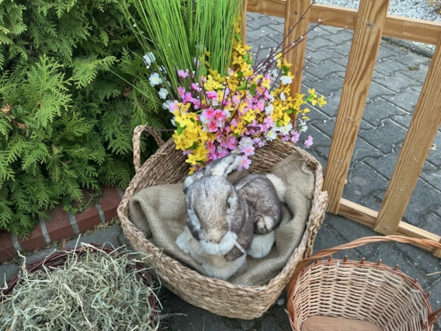 Szukanie jajek w żłobkowym kurniczku